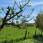 Des Pommiers Avec Terrain De Petanque *