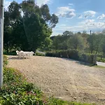 Des Pommiers Avec Terrain De Petanque