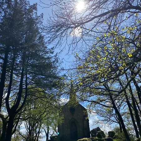 Des Pommiers Avec Terrain De Pétanque *