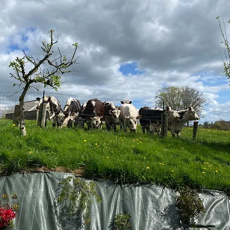 Des Pommiers Avec Terrain De Pétanque *