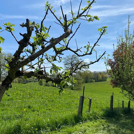 Des Pommiers Avec Terrain De Pétanque *