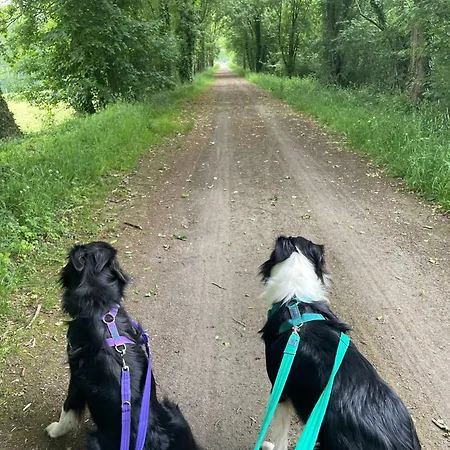 Des Pommiers Avec Terrain De Pétanque * Le Fresne-Poret
