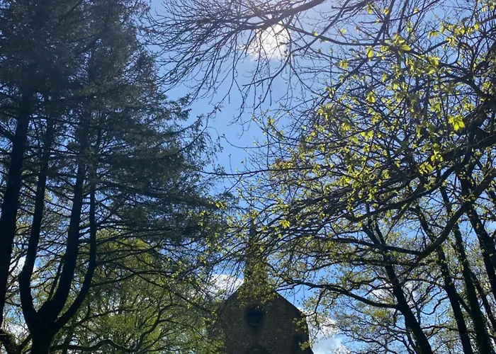 Des Pommiers Avec Terrain De Pétanque *