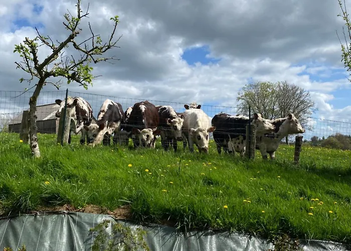 Des Pommiers Avec Terrain De Pétanque *