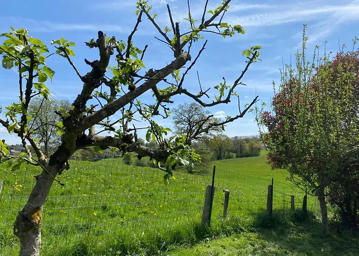 Des Pommiers Avec Terrain De Petanque *