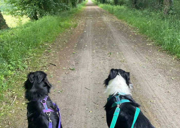 Des Pommiers Avec Terrain De Pétanque * Le Fresne-Poret